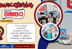 bimbo
